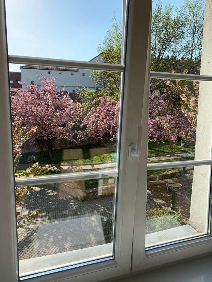 Négy évszak Apartman- Tapolca Extérieur photo